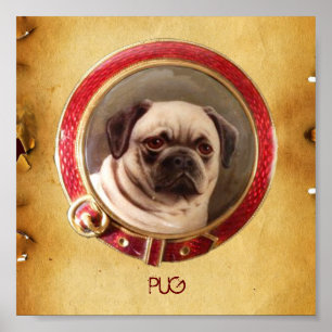 VICTORIAN MINIATURE DOG PORTRAITS Pug Poster