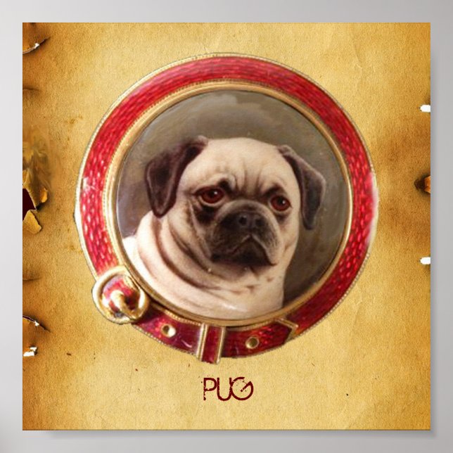 VICTORIAN MINIATURE DOG PORTRAITS Pug Poster (Front)