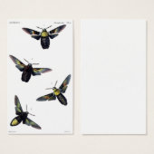Victorian Moths (Front & Back)