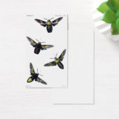 Victorian Moths (Desk)