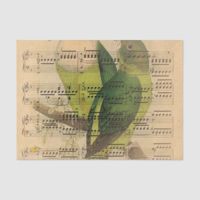 Victorian Music Sheet Watercolor Bird Wallpaper (Front)
