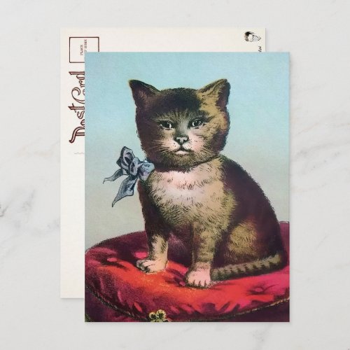 Victorian Odd Cat Postcard