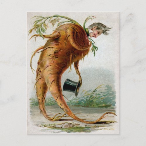 Victorian Odd Root Man Postcard