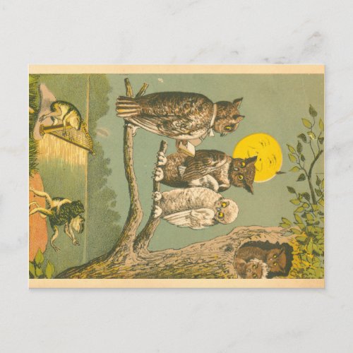 Victorian Owl Wedding Postcard