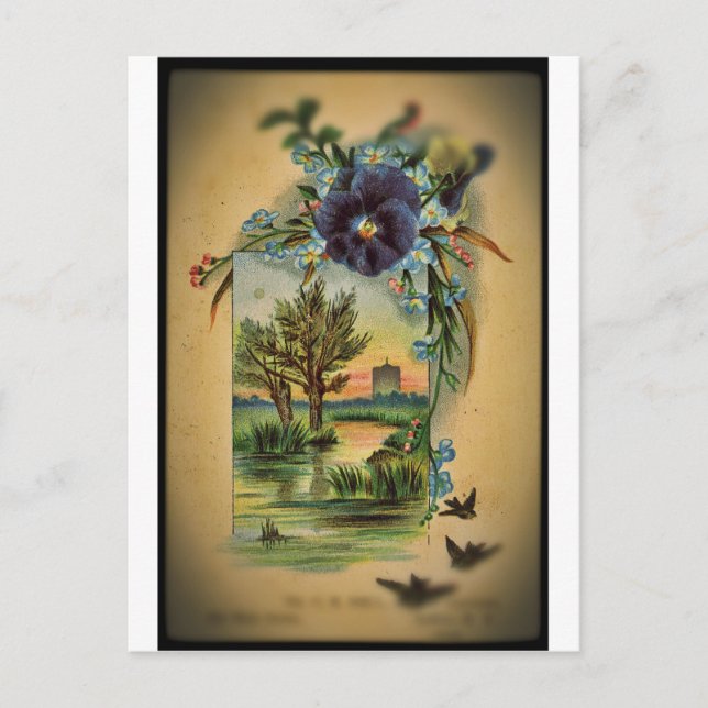 Victorian Pansy Pastoral Postcard (Front)