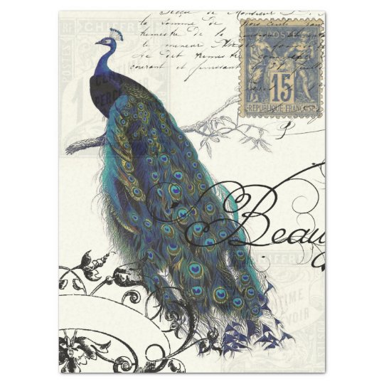 VICTORIAN PEACOCK - REVERSE TISSUE PAPER | Zazzle.com