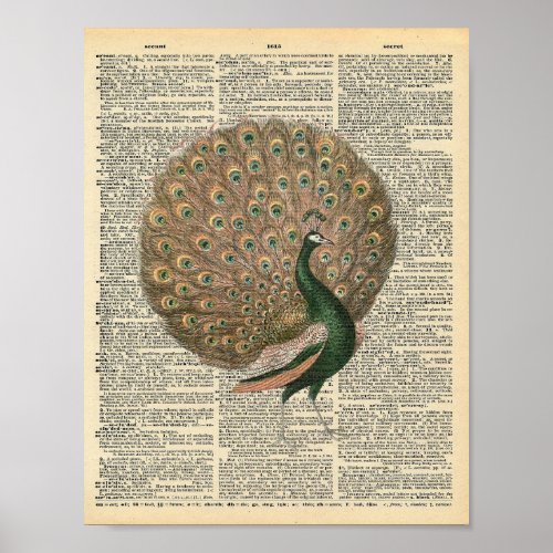 Victorian peacock vintage dictionary page poster