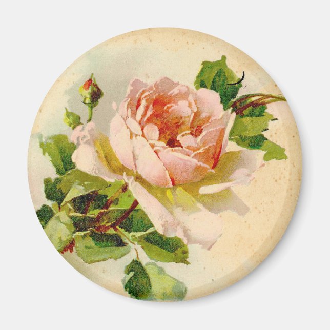Victorian Pink Rose Magnet (Front)