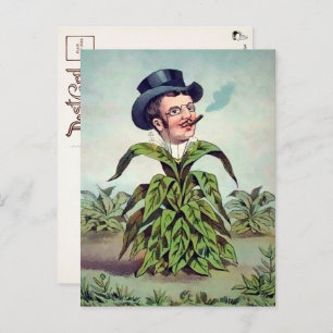 Victorian Plant Man Postcard