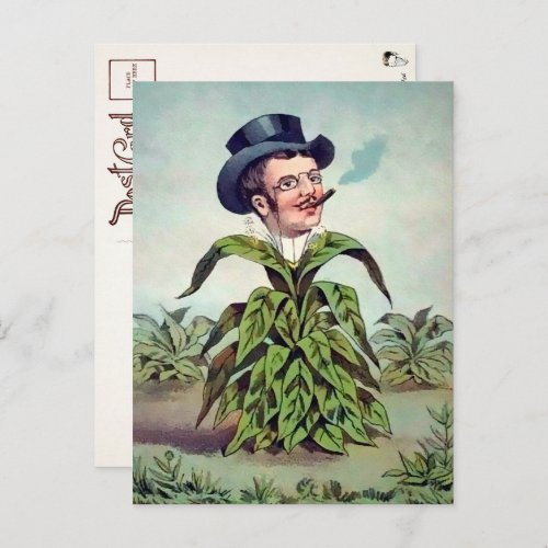 Victorian Plant Man Postcard 