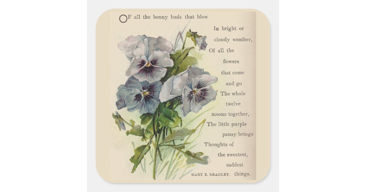 Victorian Poem Grey Purple Pansies