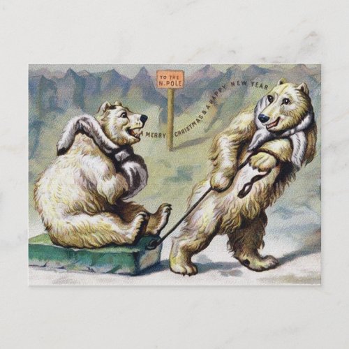 Victorian Polar Bears Christmas Postcard