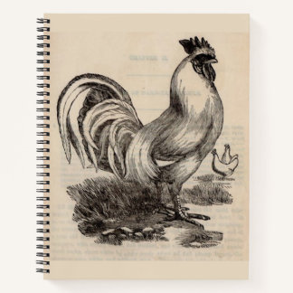 Victorian print white Dorking rooster Notebook