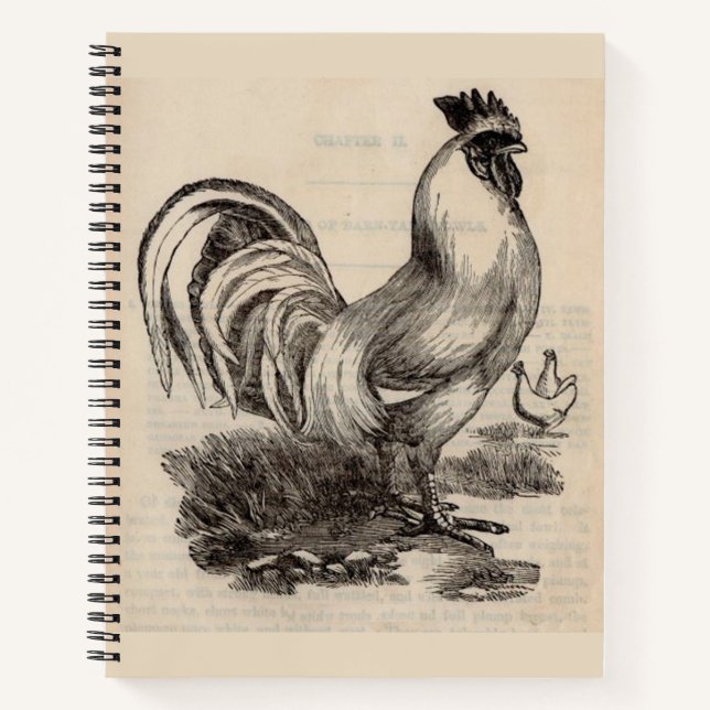 Victorian print white Dorking rooster Notebook (Front)