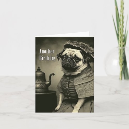 Victorian Pug Birthday Card _ Funny picture of Pug