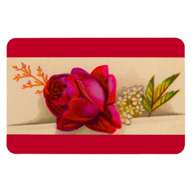 Victorian red rose magnet (Horizontal)