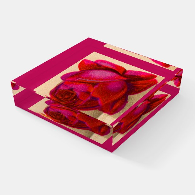 Victorian red rose paperweight (Angled)