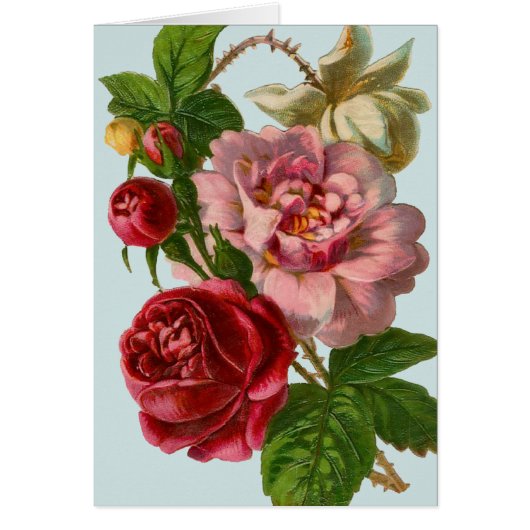 Victorian Rose Illustration Card (Front)