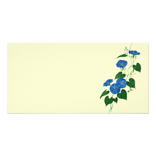 Victorian Style Morning Glory Wildflower Vine Card