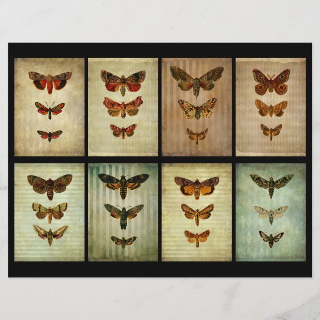 Victorian Style Moth ATC Scrapbook Cards (Front)