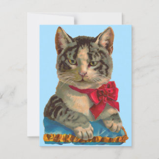 Victorian tabby cat postcard