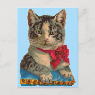 Victorian tabby cat postcard