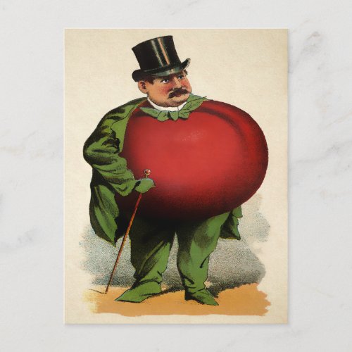 Victorian Tomato Man Postcard