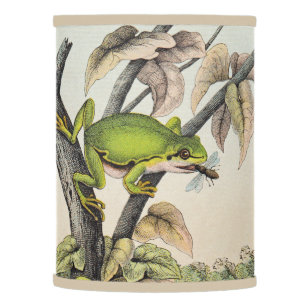 Victorian Tree Frog in Garden Lamp Shade