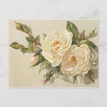 Victorian Vintage Creamy White Roses Bouquet Postcard at Zazzle