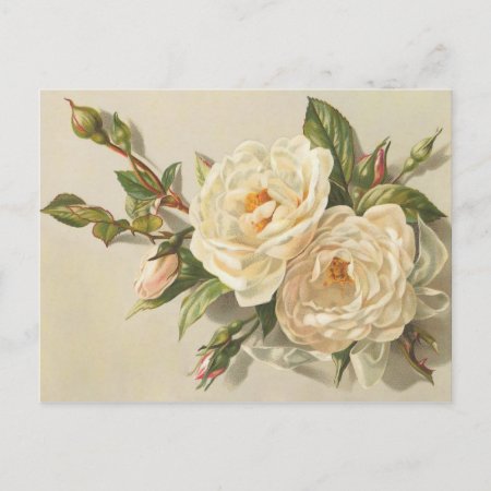 Victorian Vintage Creamy White Roses Bouquet Postcard