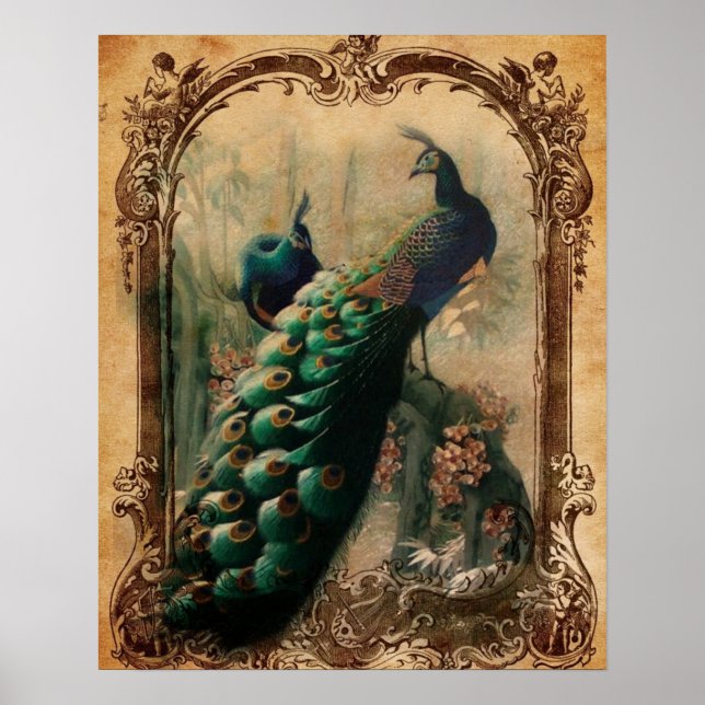 victorian vintage floral parisian peacock poster (Front)