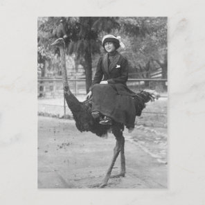 Victorian Weird Woman Riding Ostrich Postcard