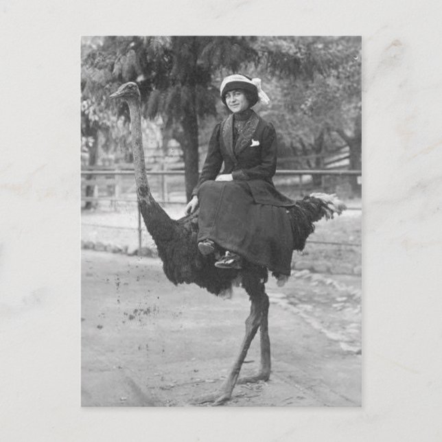 Victorian Weird Woman Riding Ostrich Postcard (Front)
