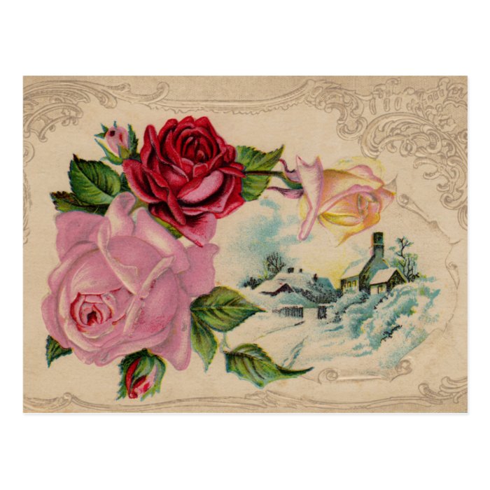Victorian Winter Roses Vintage Postcard 