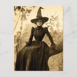 Victorian Witch Sepia Portrait style 8 Postcard