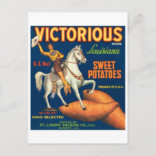 Victorious Brand Louisiana Sweet Potatoes Vintage  Postcard