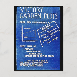 Victory Garden Plots, Free For Employees Postcard