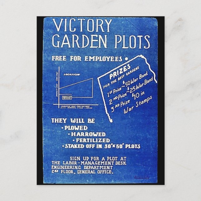 Victory Garden Plots, Free For Employees Postcard (Front)