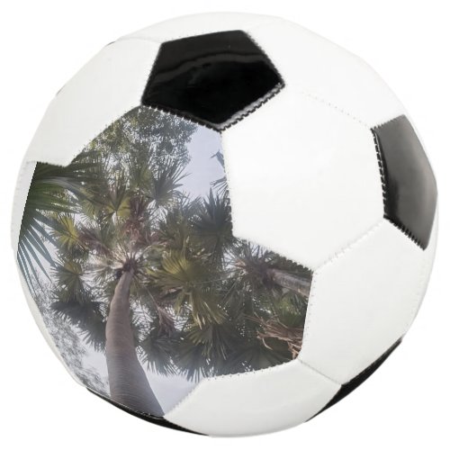 Victory on the Field Highlights of the Season Soccer Ball