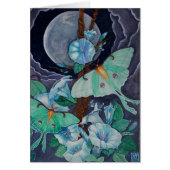 Vida de la Luna (Front)