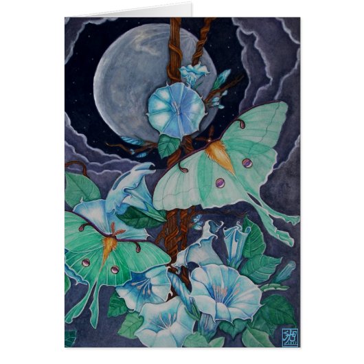 Vida de la Luna Cards (Front)