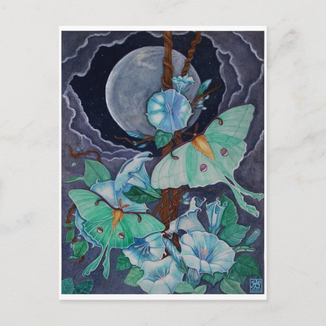 Vida de la Luna Postcard (Front)