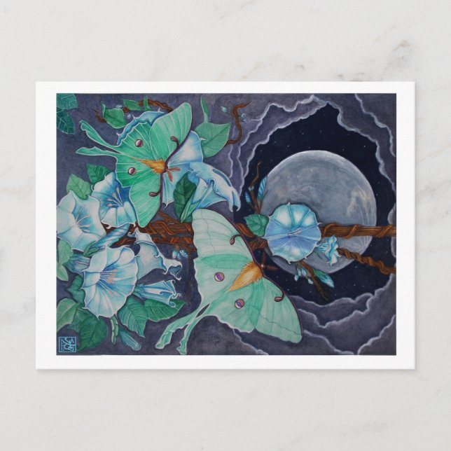 Vida de la Luna Postcard (Front)