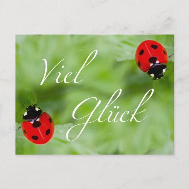 Viel Glück im Doppelpack! Postcard (Front)