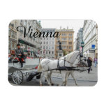 Vienna Austria Magnet at Zazzle
