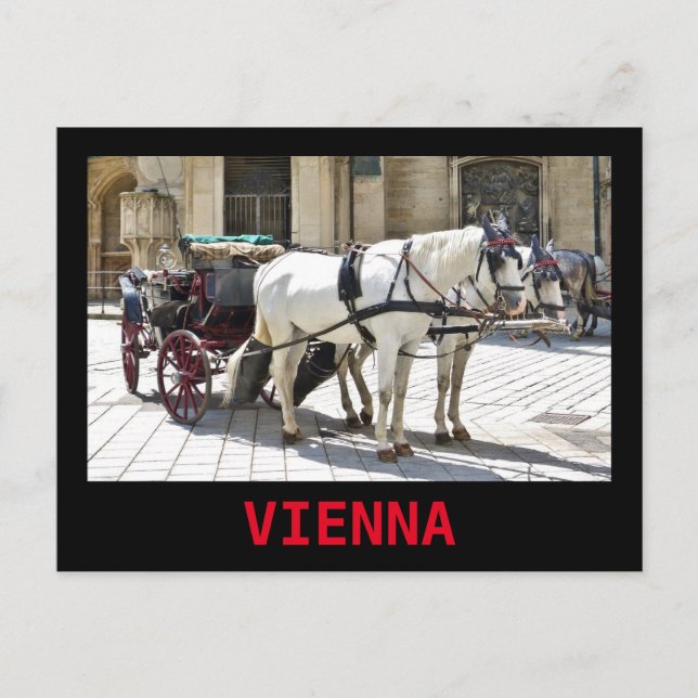 Vienna Fiaker with White Horses - Postcard (Front)