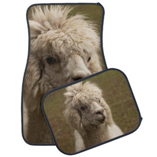 VIENNA WIEN ÖSTERREICH AUSTRIA ALPAKA LAMA ANIMAL CAR FLOOR MAT