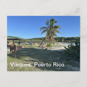 Vieques, Puerto Rico postcard