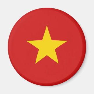 Vietnam Fisheye Flag Magnet