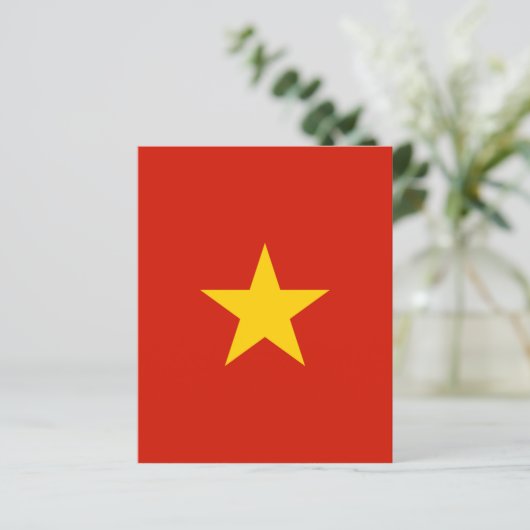 Vietnam flag (Standing Front)